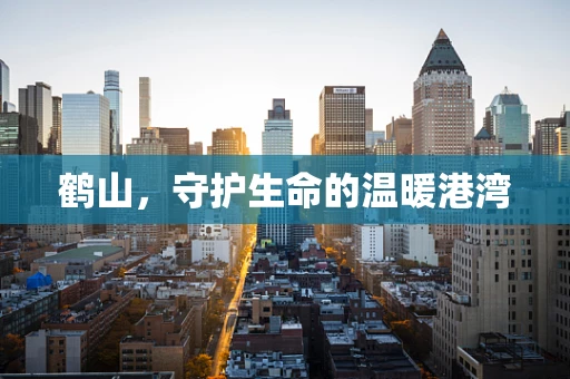 鹤山，守护生命的温暖港湾