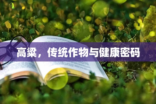 高粱，传统作物与健康密码