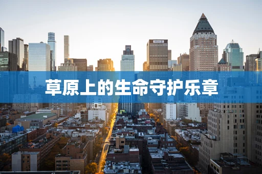 草原上的生命守护乐章
