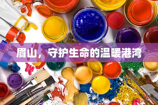 眉山，守护生命的温暖港湾
