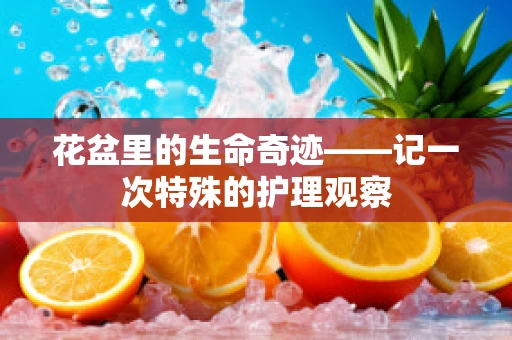 花盆里的生命奇迹——记一次特殊的护理观察