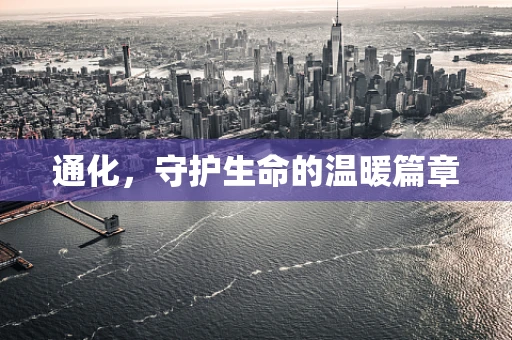通化，守护生命的温暖篇章