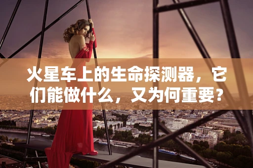 火星车上的生命探测器，它们能做什么，又为何重要？