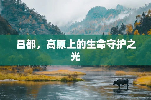 昌都，高原上的生命守护之光