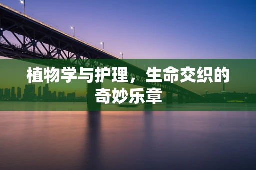 植物学与护理，生命交织的奇妙乐章