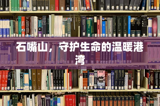 石嘴山，守护生命的温暖港湾
