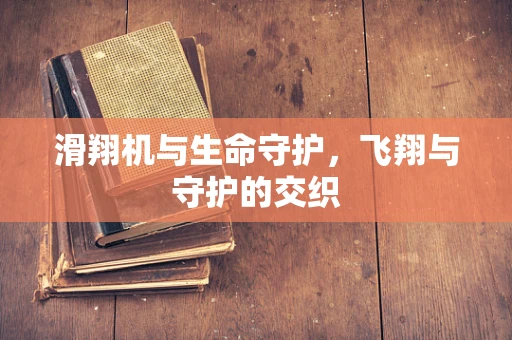 滑翔机与生命守护，飞翔与守护的交织