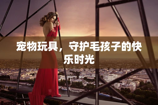 宠物玩具，守护毛孩子的快乐时光