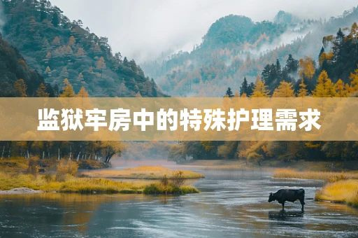 监狱牢房中的特殊护理需求