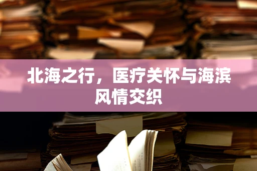 北海之行，医疗关怀与海滨风情交织