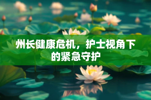 州长健康危机，护士视角下的紧急守护