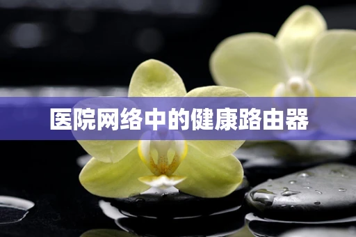 医院网络中的健康路由器