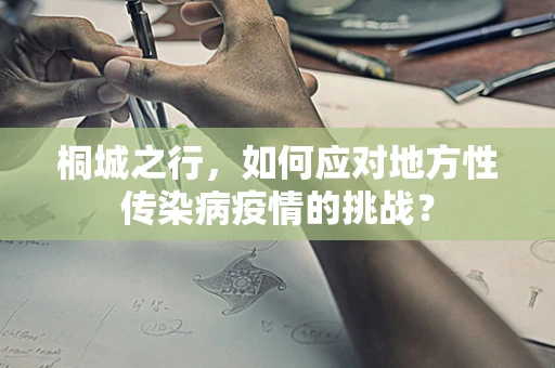 桐城之行，如何应对地方性传染病疫情的挑战？