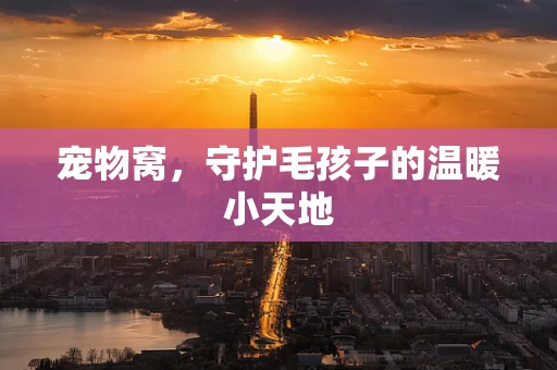 宠物窝，守护毛孩子的温暖小天地