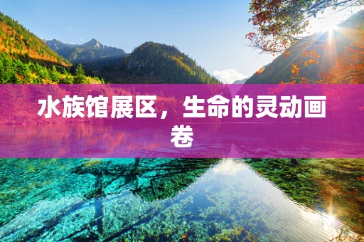 水族馆展区，生命的灵动画卷