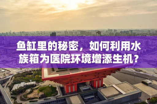 鱼缸里的秘密，如何利用水族箱为医院环境增添生机？