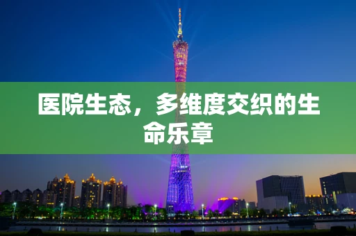 医院生态，多维度交织的生命乐章