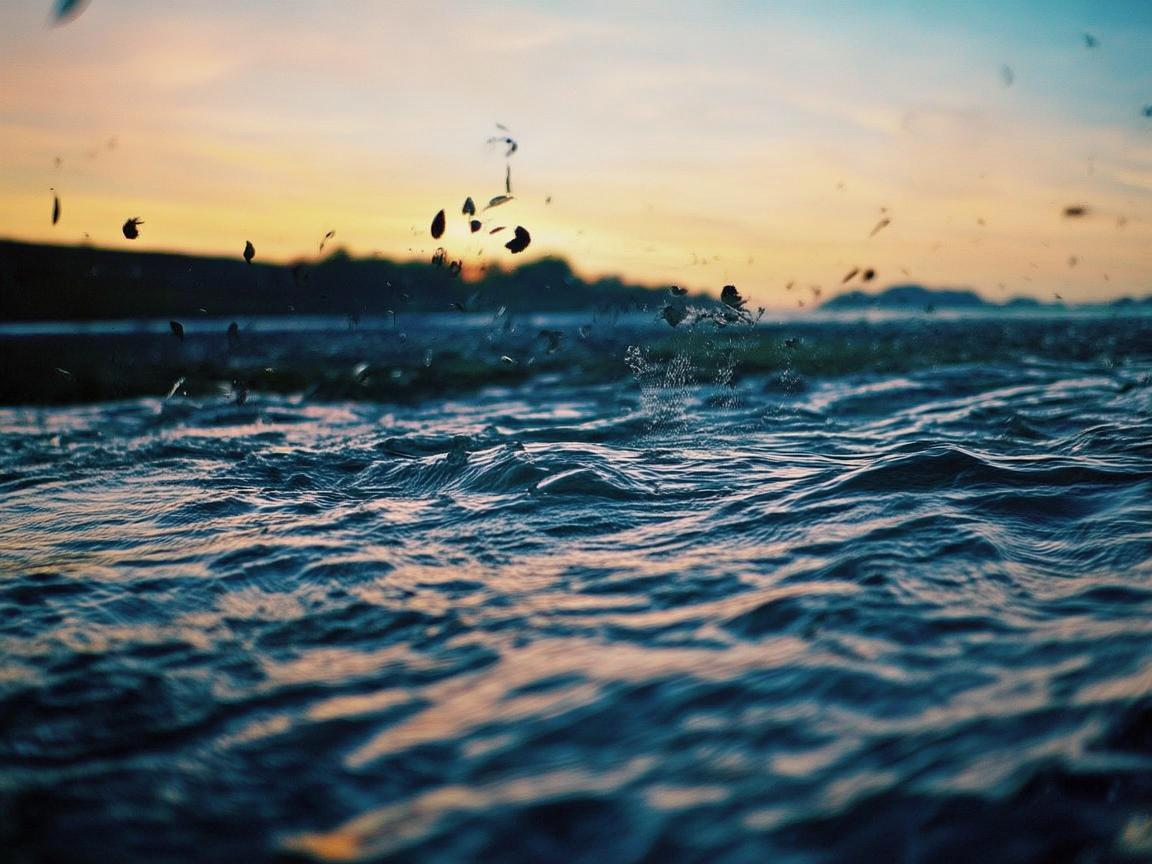 湖畔微光，守护生命的温柔乐章